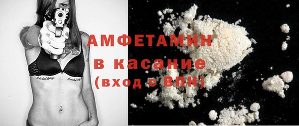 гашик Алексеевка