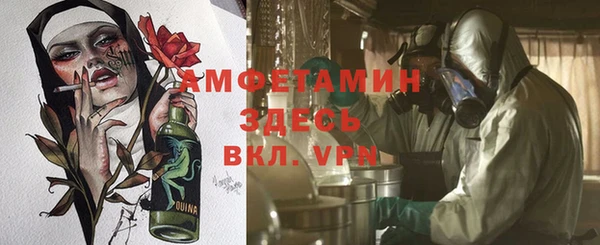 гашик Алексеевка